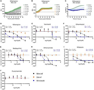 Discovery of anti-infective compounds against Mycobacterium marinum after biotransformation of simple natural stilbenes by a fungal secretome